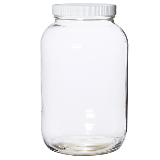 Environmental Express Glass Bottles Level 1 Wide Mouth Clear 2L 6 Cs