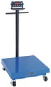 DO-11930-34 Doran MVP Industrial Scale, 450 kg x 100 g, 115 VAC.  Representative Photo Only