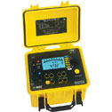 Industrial Digital Megohmmeter w/RS-232, 5000 V [AE213021]