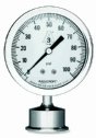 Ashcroft Sanitary Gauges