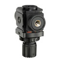 DO-75300-46 Mini Air Regulator, Max 59 SCFM, Pressure range of 0 - 140 PSIG, 1/4" NPT(F) connection