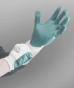 Best&reg; Nitrile Dipped Gloves